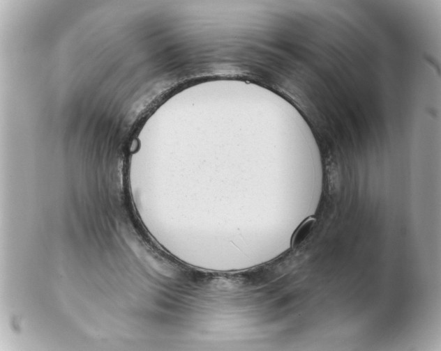 X0000102530350200808291825