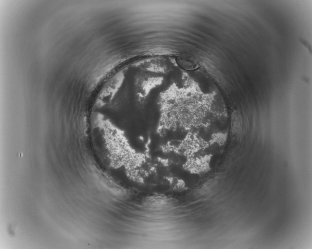 X0000102530351200808291825