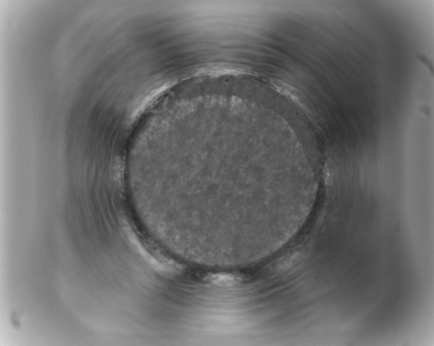 X0000102530352200808291825