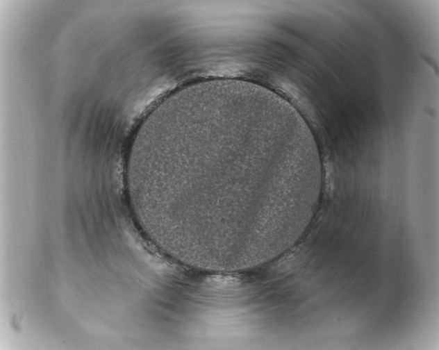 X0000102530354200808291825