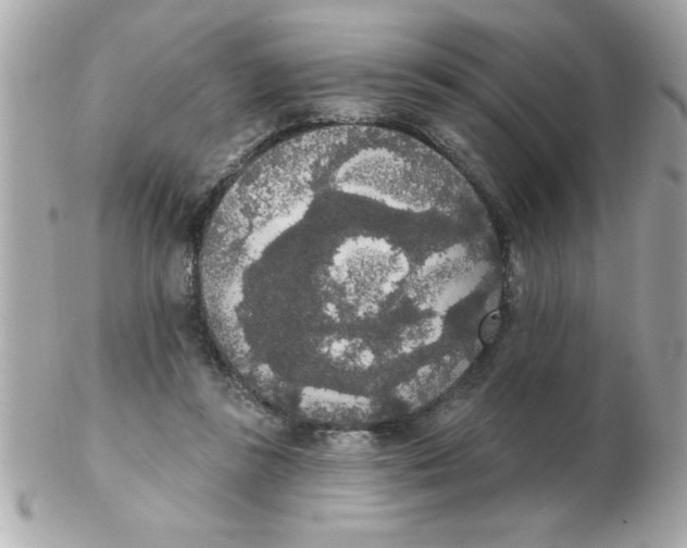 X0000102530355200808291825
