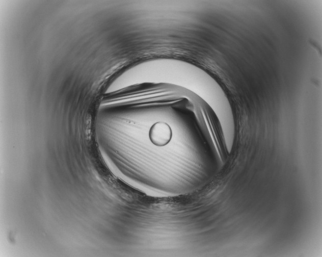 X0000102530356200808291825
