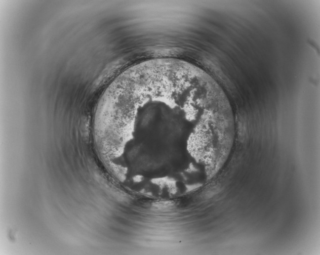 X0000102530357200808291825