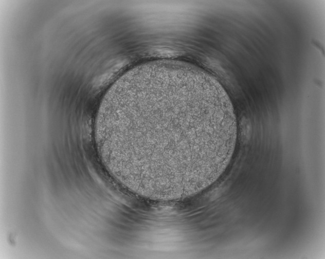 X0000102530358200808291825