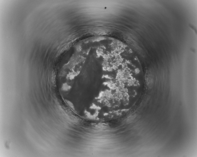 X0000102530359200808291825