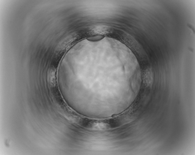 X0000102530360200808291825