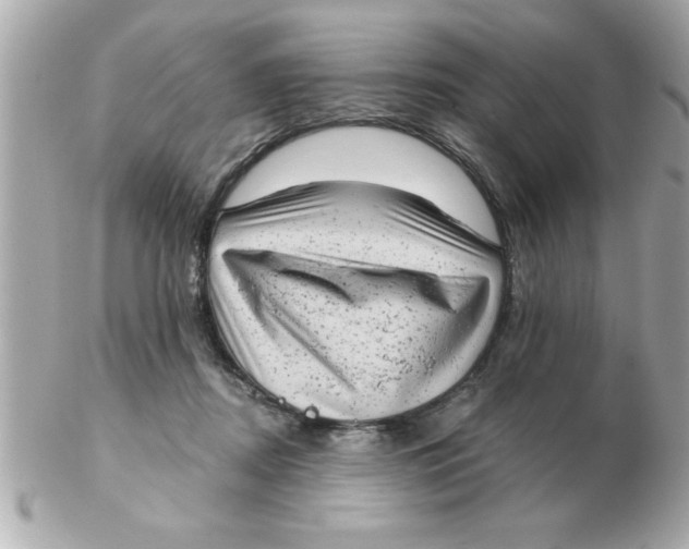 X0000102530362200808291825