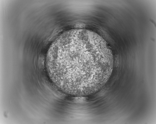 X0000102530363200808291825