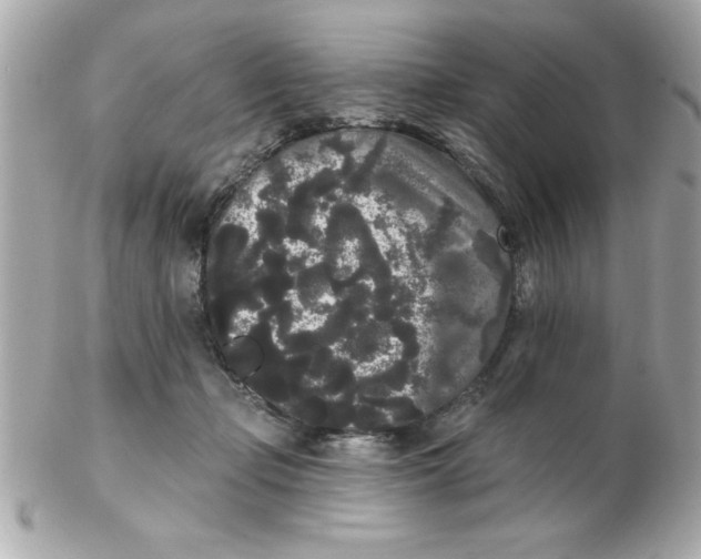 X0000102530365200808291825