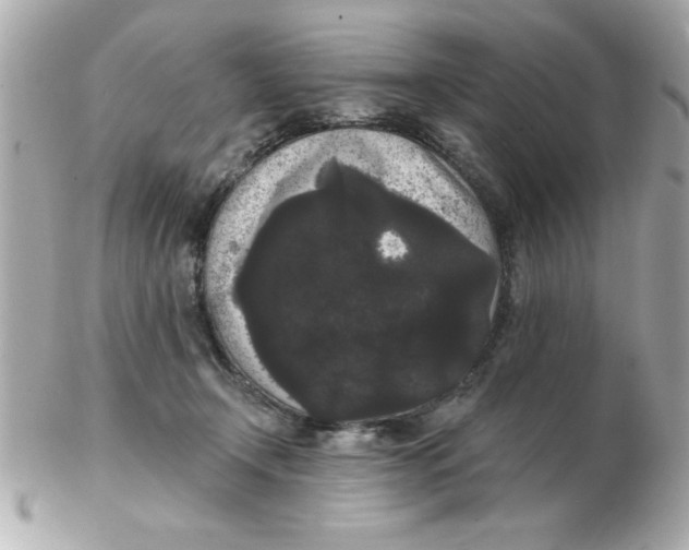 X0000102530366200808291825