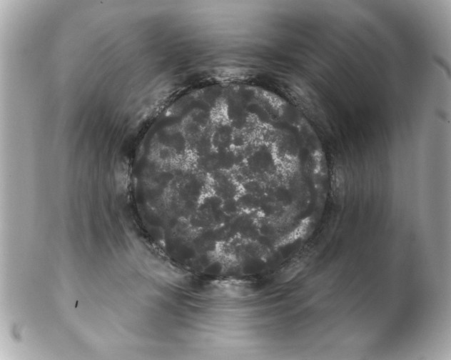 X0000102530367200808291825