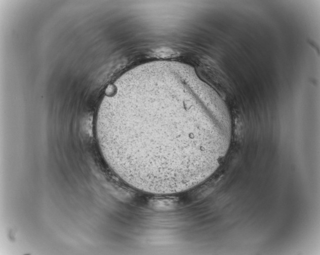 X0000102530368200808291825