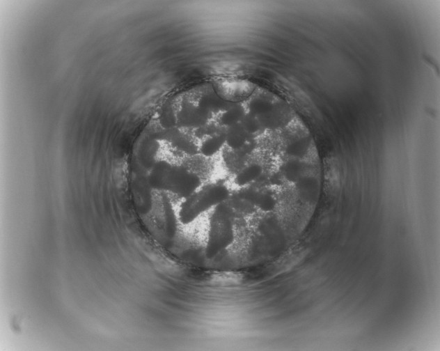 X0000102530369200808291825