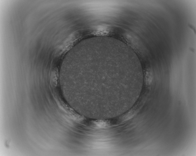 X0000102530370200808291825