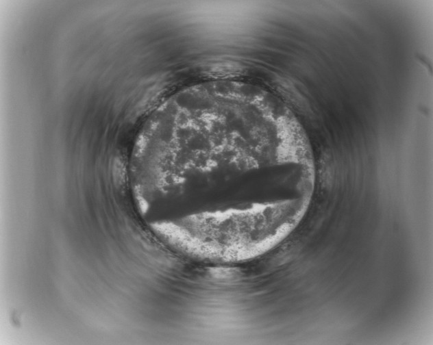 X0000102530371200808291825