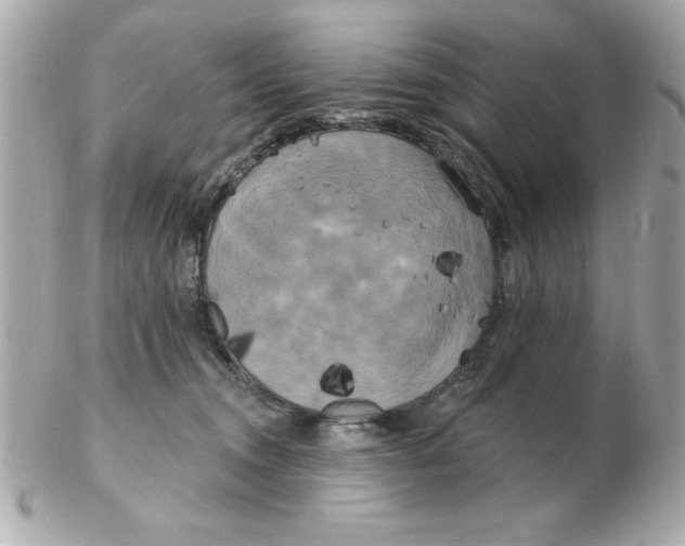 X0000102530372200808291825