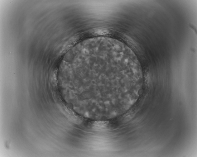 X0000102530373200808291825