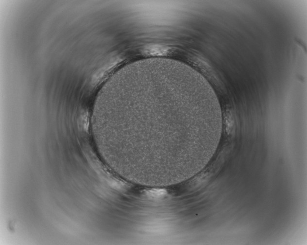 X0000102530374200808291825