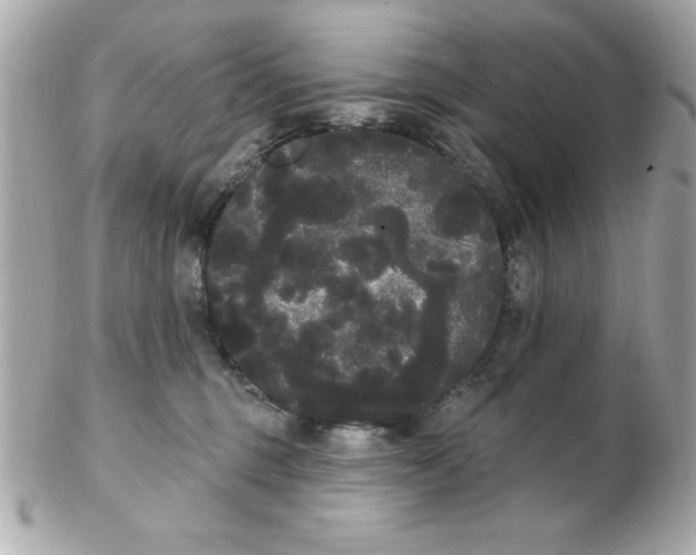 X0000102530375200808291825