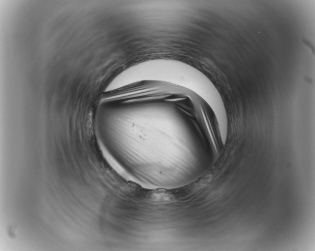 X0000102530376200808291825