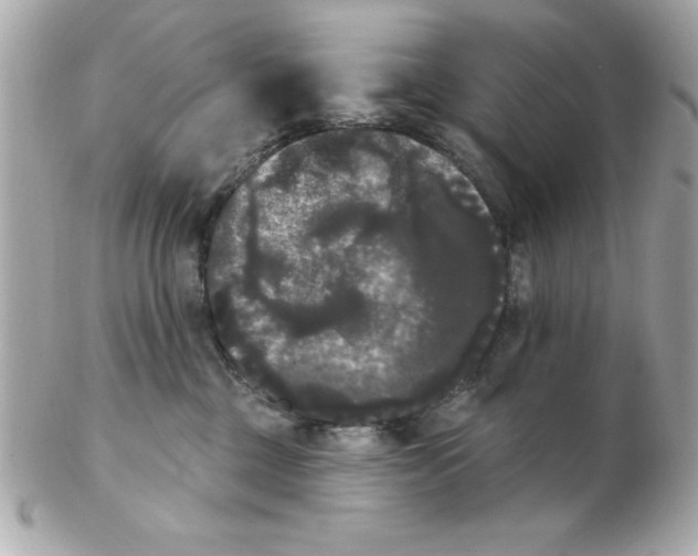 X0000102530377200808291825