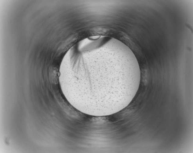 X0000102530378200808291825