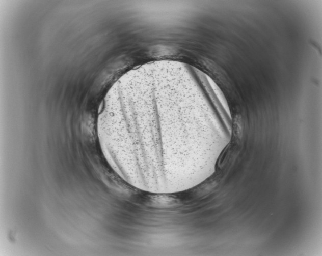 X0000102530380200808291825