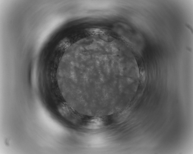 X0000102530381200808291825