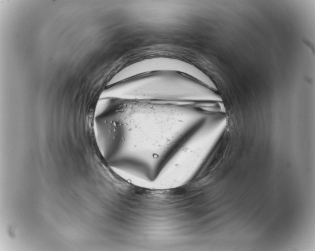 X0000102530382200808291825