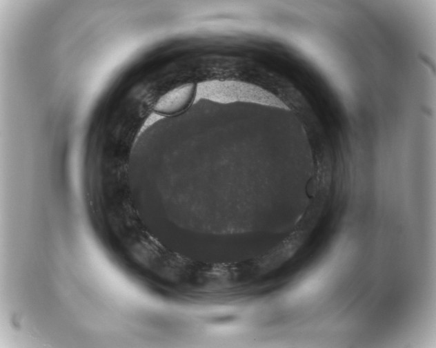 X0000102530383200808291825