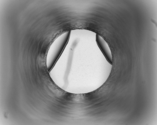 X0000102530384200808291825