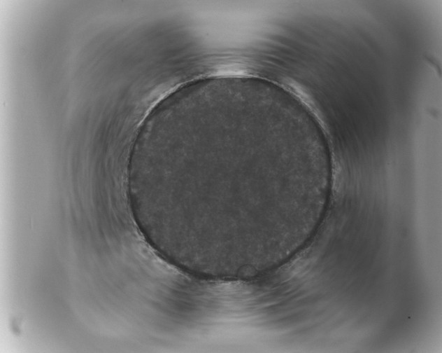 X0000102530385200808291824