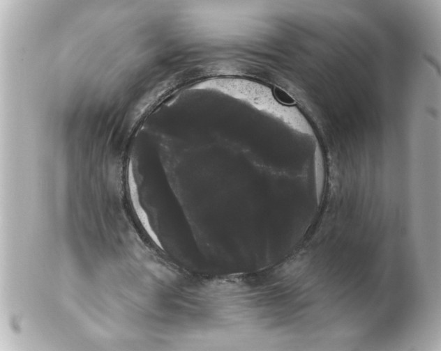 X0000102530386200808291824