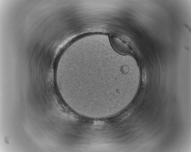 X0000102530388200808291824
