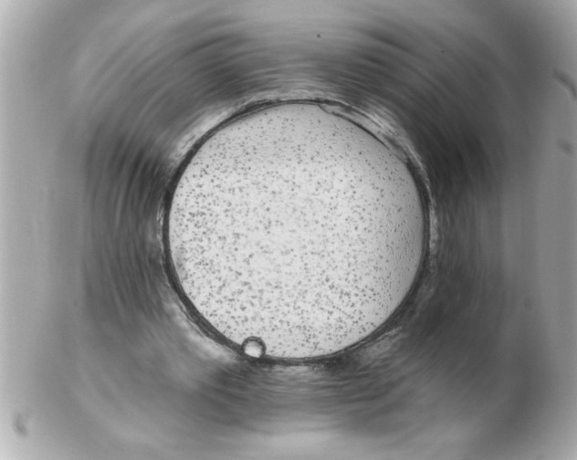 X0000102530389200808291824