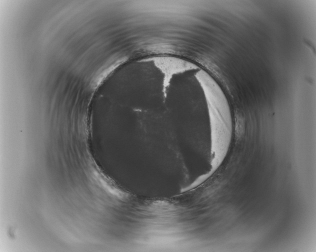 X0000102530390200808291824