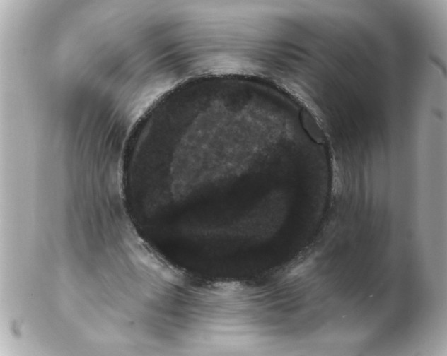 X0000102530391200808291824
