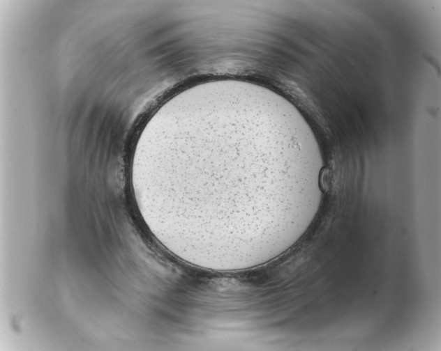 X0000102530392200808291824