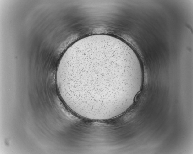 X0000102530393200808291824