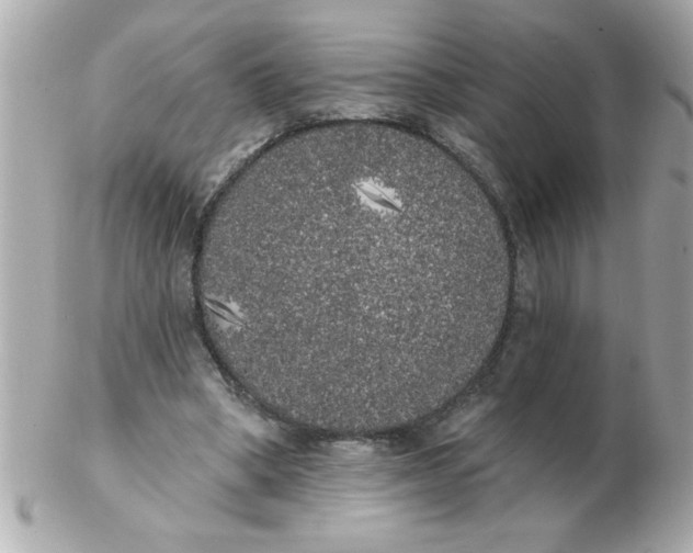 X0000102530394200808291824