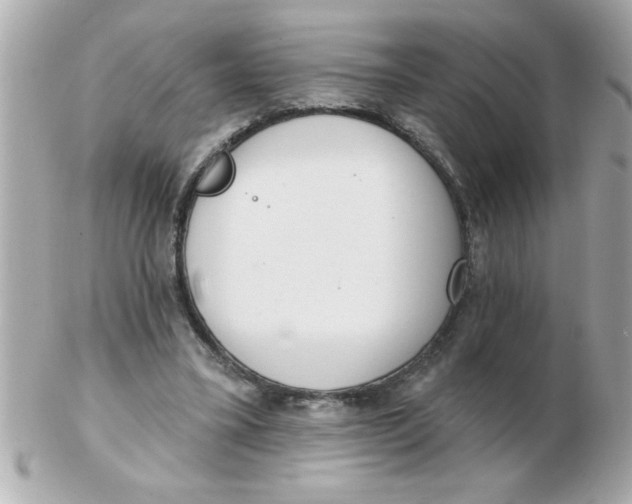 X0000102530395200808291824