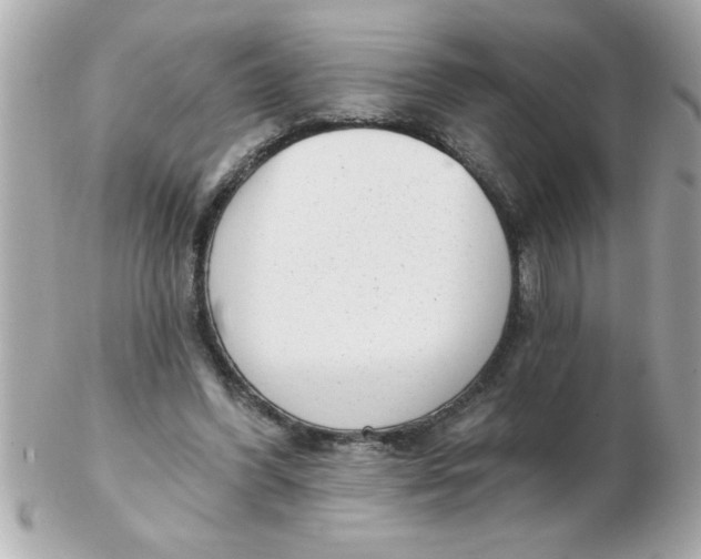 X0000102530396200808291824