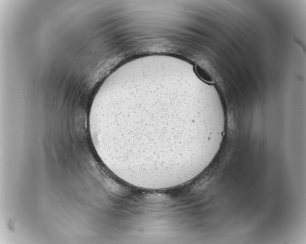 X0000102530397200808291824