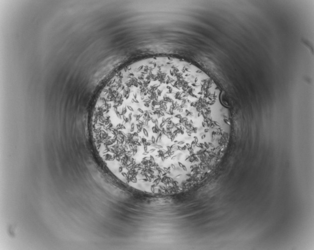 X0000102530398200808291824