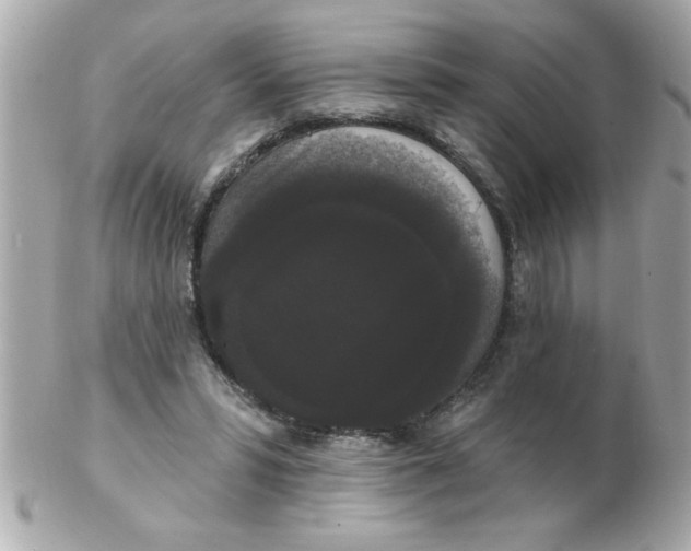 X0000102530399200808291824