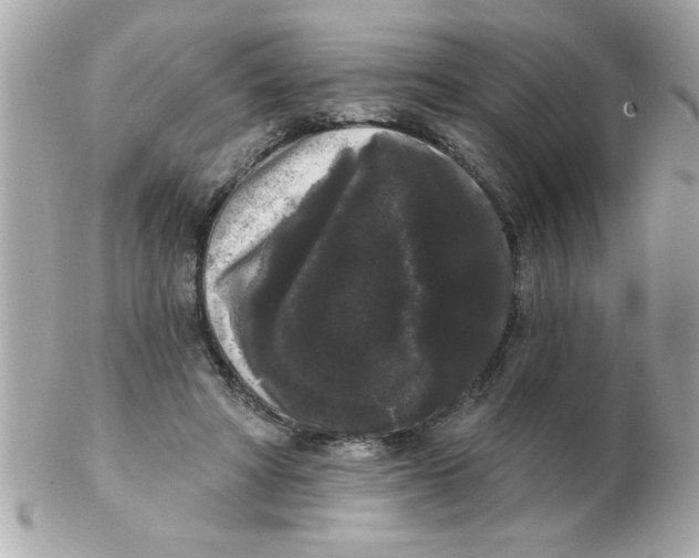 X0000102530402200808291824