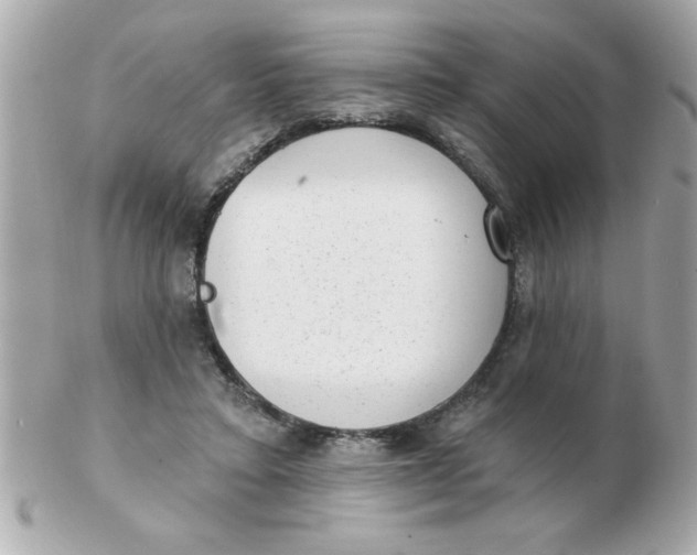 X0000102530403200808291824