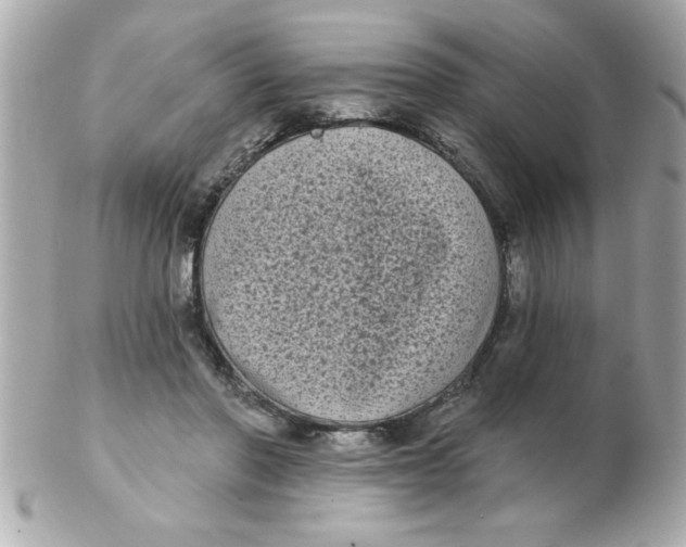 X0000102530406200808291824