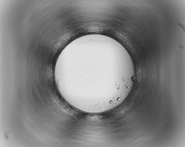 X0000102530407200808291824