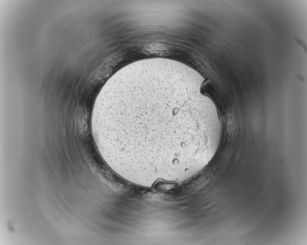 X0000102530408200808291824